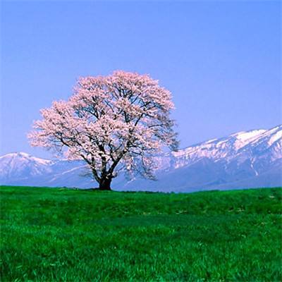 解救面瘫手机版下载